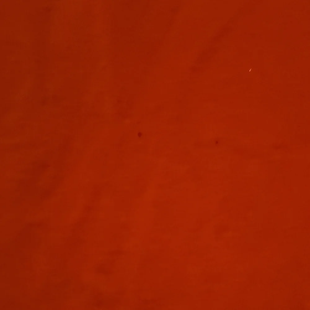 Men Vibrant Orange Tee With Wings - Picture 8 of 9